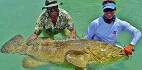 Smiling men posing with large Goliath Grouper.